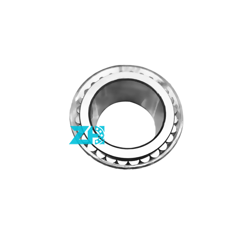 F-229575 Rolamentos cilíndricos de dupla fila de 38*55,9*29,5 mm para alta precisão e capacidade de carga